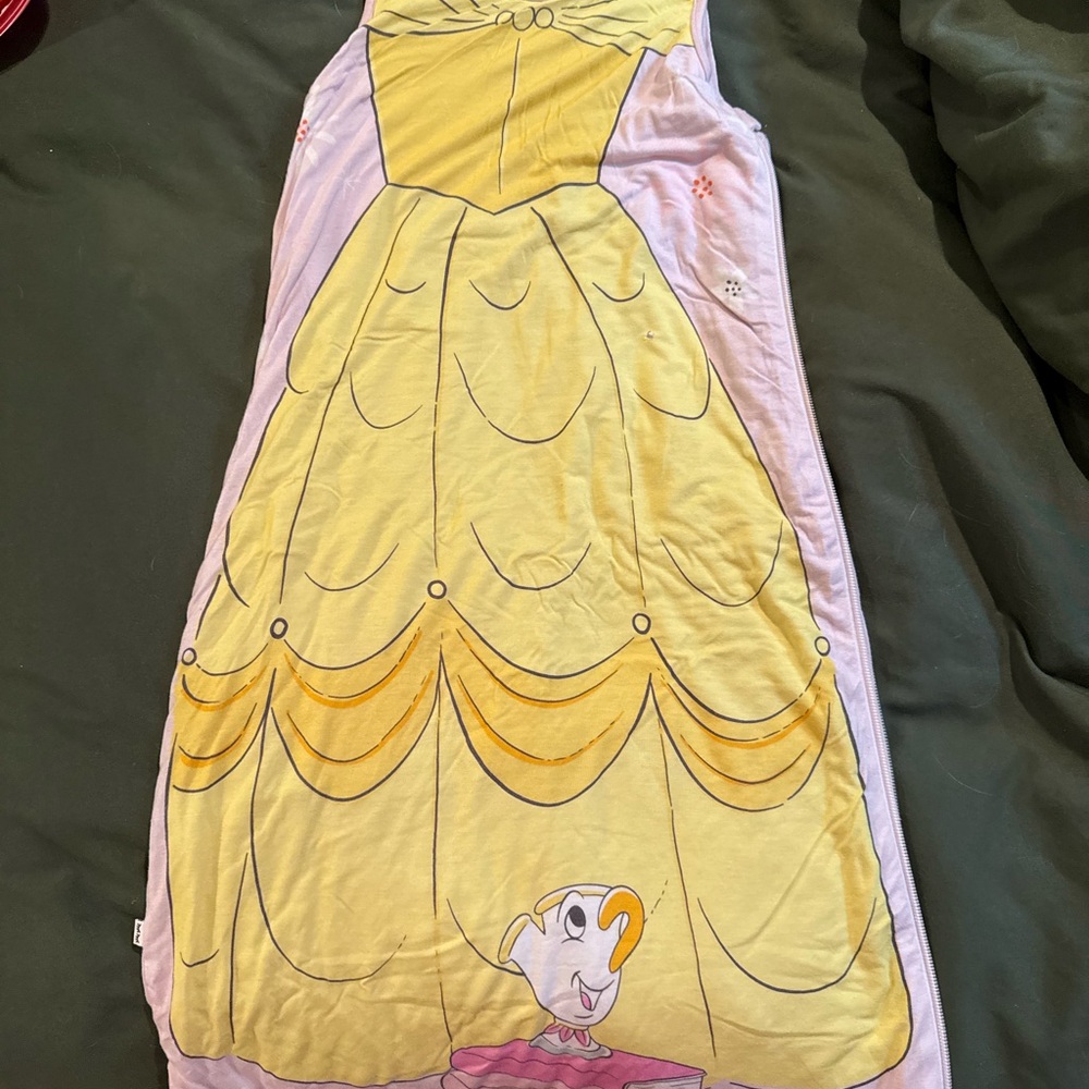 Disney Princess Sleeping Bag
